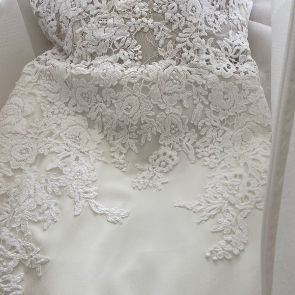 Pronovias Oseleta Wedding Dress - Picture 6 of 15